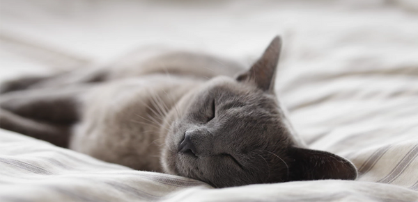 Tips for Getting to Sleep Faster