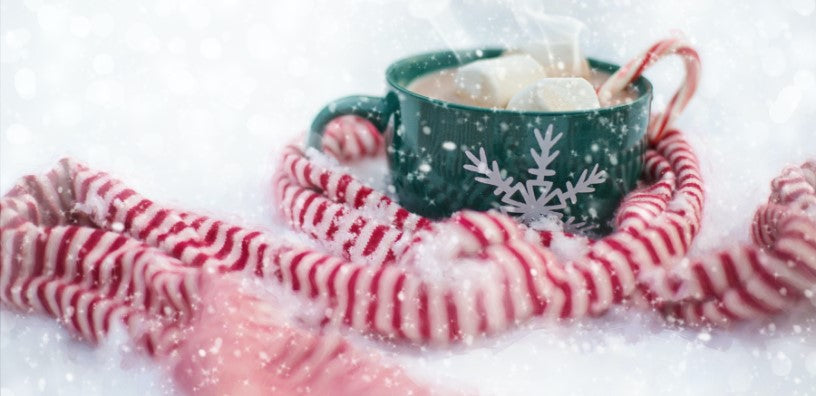 Stuck Indoors on a Snowy Day? Make it a Cosy Day!