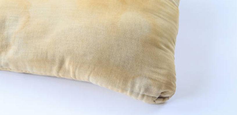 Whats the grossest thing in the world? You're probably Sleeping on it!