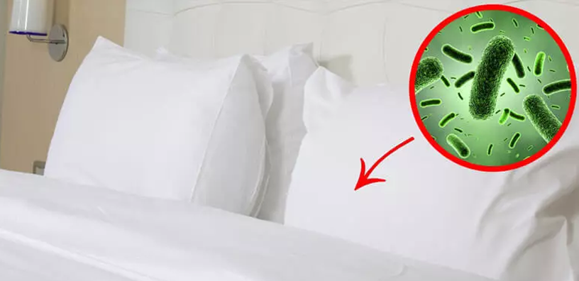 Don't Buy Pillows ‘Til You Read This!