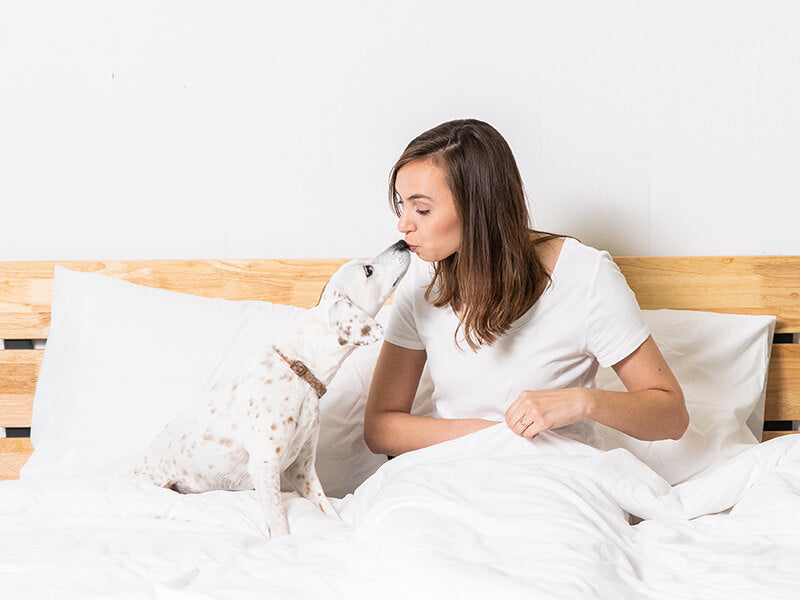 Female and a dog on a white bed